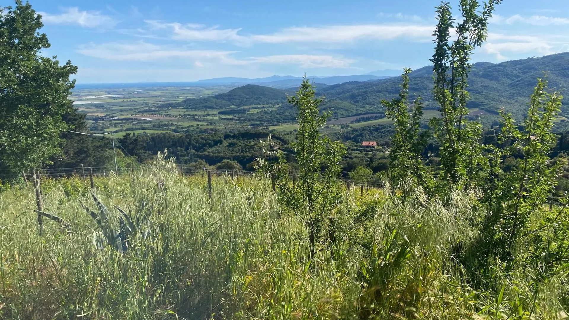Casa Belvedere Suvereto Appartement